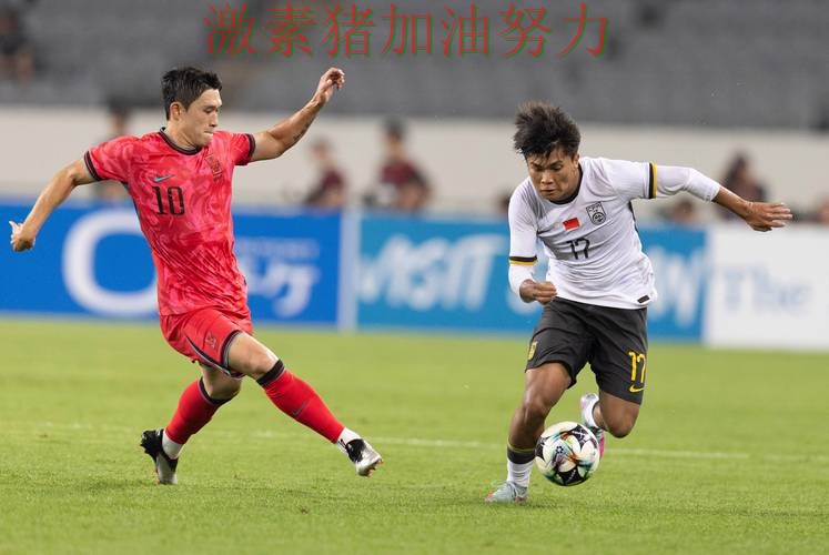 韩国核心爆发球队未来方向逐渐清晰