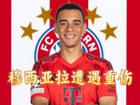 爱游戏体育在线-马特乌斯谈穆西亚拉受伤：拜仁应考虑给穆勒一份的简单介绍