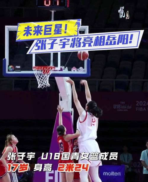 日本女篮主帅：我找到方法限制张子宇，但是是赛后才想到的的简单介绍